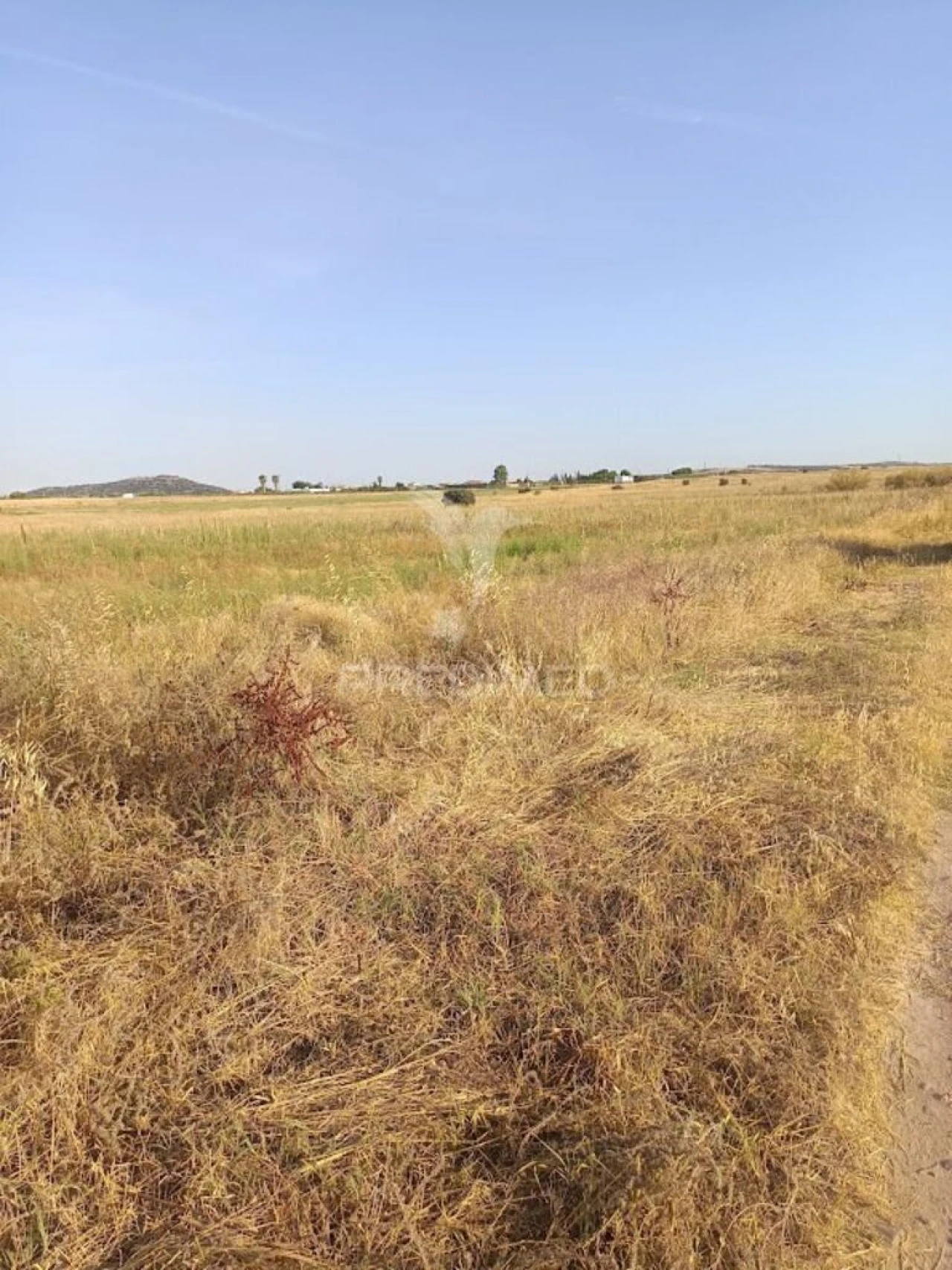 Terreno para Venda em São João Baptista Foto 9