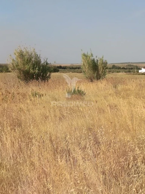 Terreno para Venda em São João Baptista