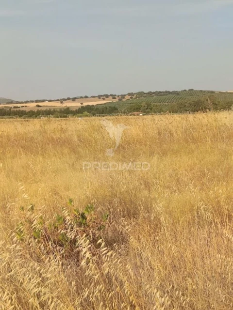 Terreno para Venda em São João Baptista