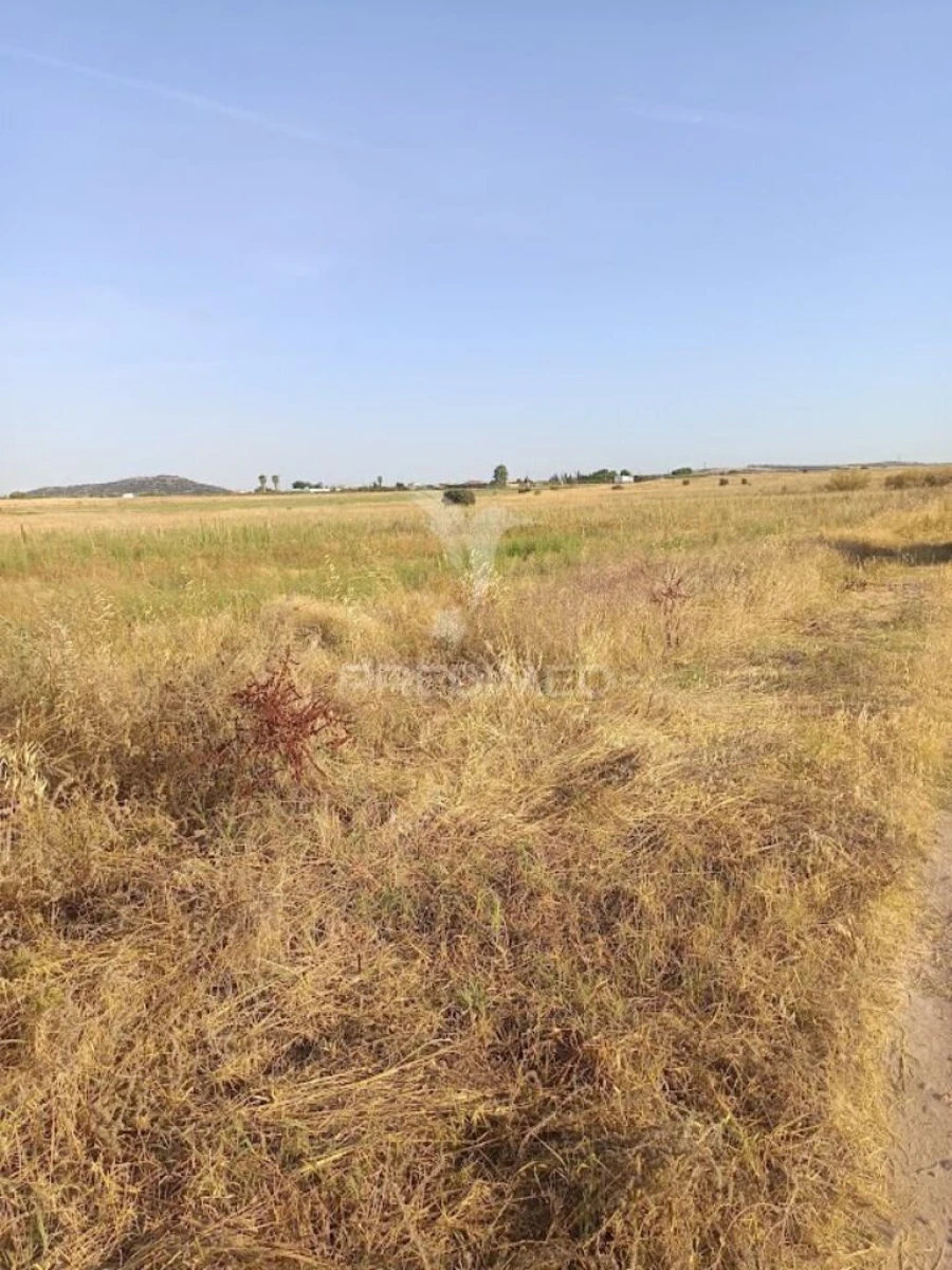 Terreno para Venda em São João Baptista Foto 9