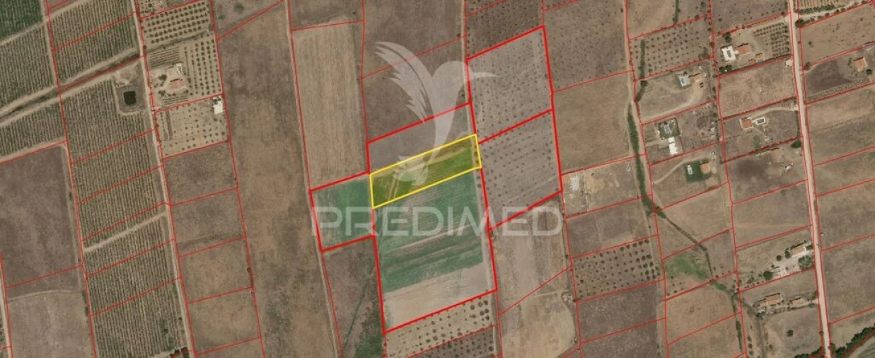 Terreno para Venda em São João Baptista Foto 10