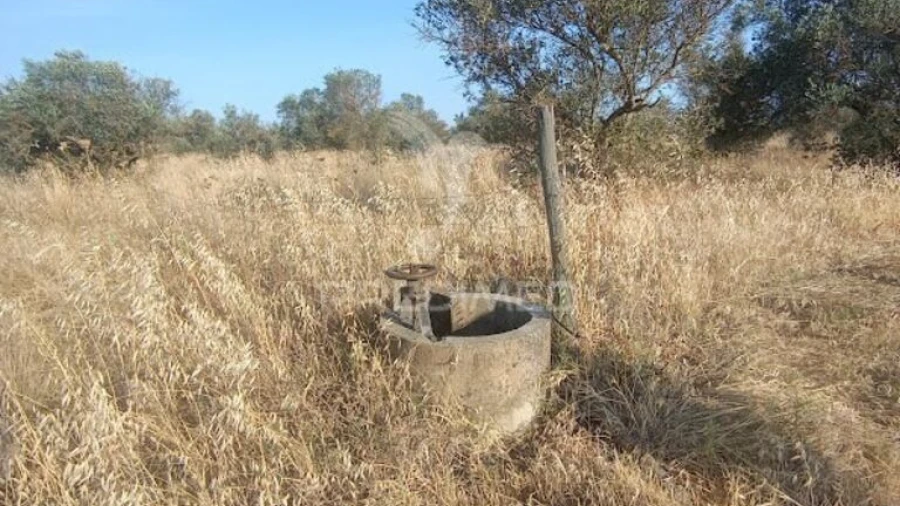 Terreno para Venda em São João Baptista