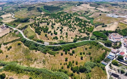 Quinta para Venda em Enxara do Bispo, Gradil e Vila Franca do Rosário