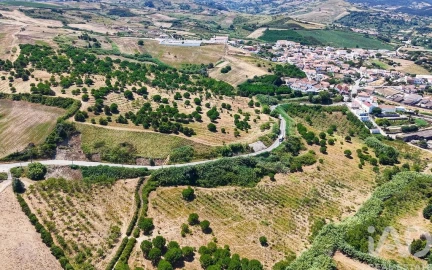 Quinta para Venda em Enxara do Bispo, Gradil e Vila Franca do Rosário