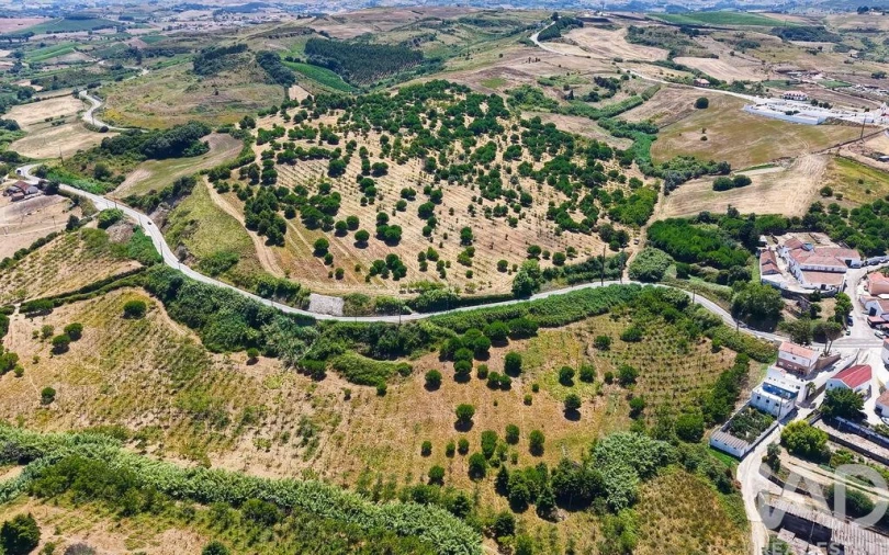 Quinta para Venda em Enxara do Bispo, Gradil e Vila Franca do Rosário Foto 19