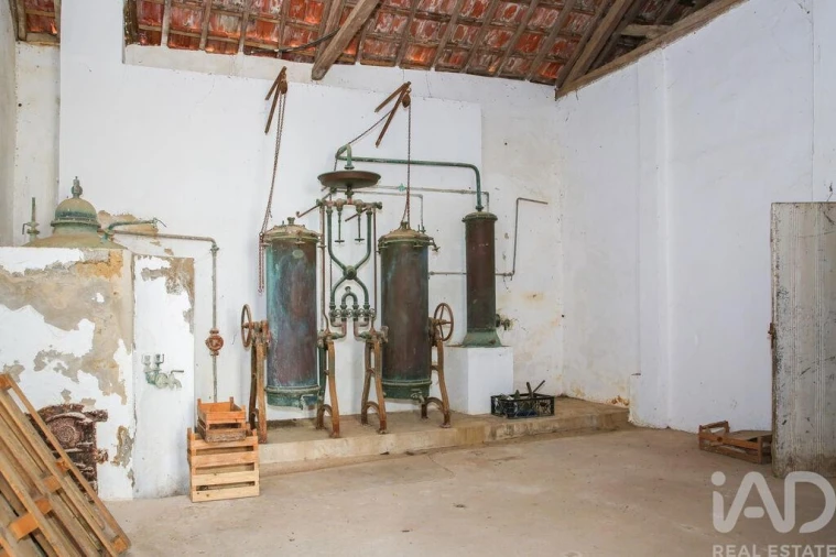 Quinta para Venda em Enxara do Bispo, Gradil e Vila Franca do Rosário Foto 30