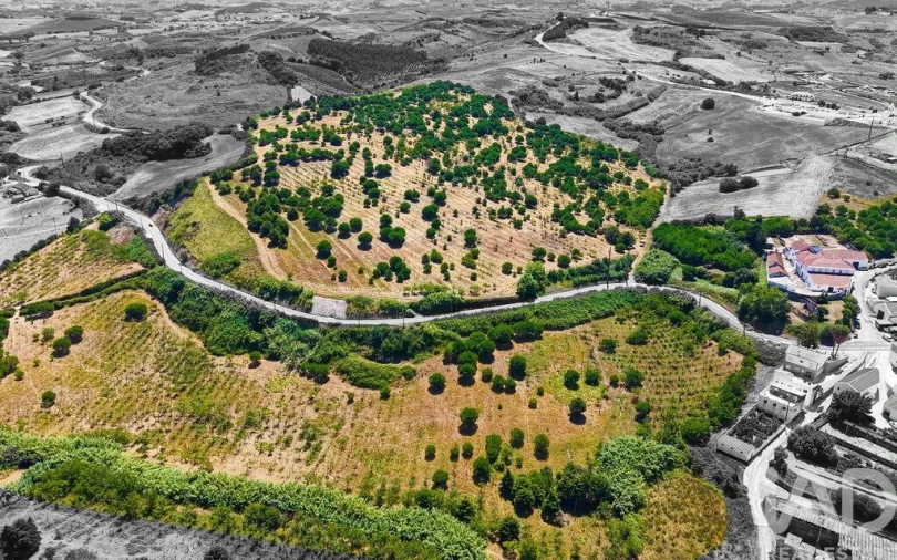 Quinta para Venda em Enxara do Bispo, Gradil e Vila Franca do Rosário Foto 4