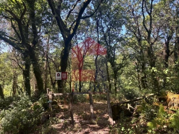 Terreno para Venda em Pico de Regalados, Gondiães e Mós