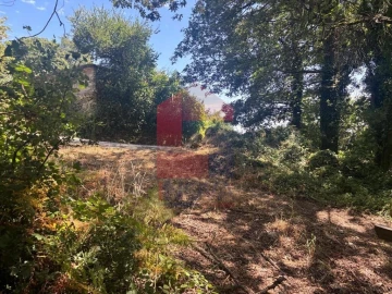 Terreno para Venda em Pico de Regalados, Gondiães e Mós