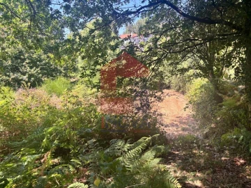 Terreno para Venda em Pico de Regalados, Gondiães e Mós