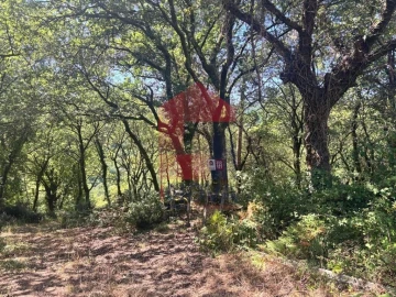 Terreno para Venda em Pico de Regalados, Gondiães e Mós