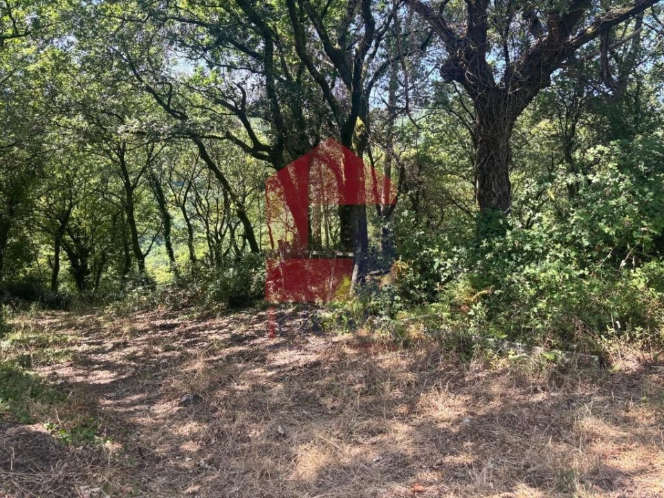 Terreno para Venda em Pico de Regalados, Gondiães e Mós Foto 12