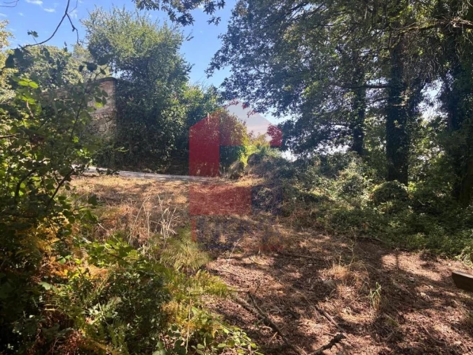 Terreno para Venda em Pico de Regalados, Gondiães e Mós Foto 8