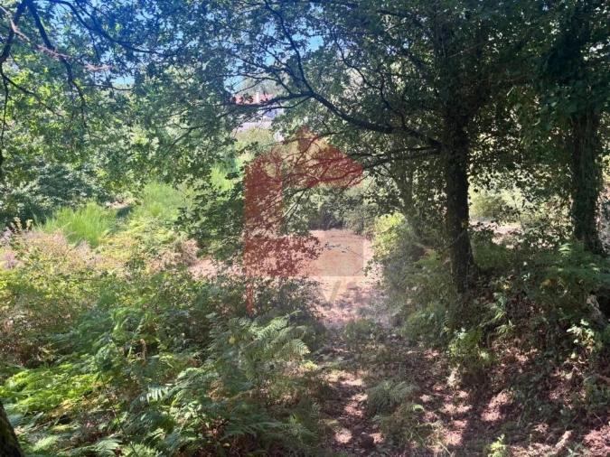 Terreno para Venda em Pico de Regalados, Gondiães e Mós Foto 5