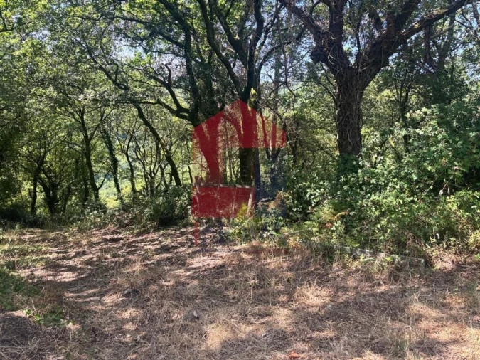 Terreno para Venda em Pico de Regalados, Gondiães e Mós Foto 13