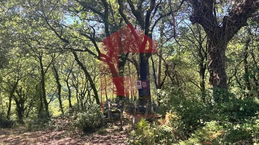 Terreno para Venda em Pico de Regalados, Gondiães e Mós