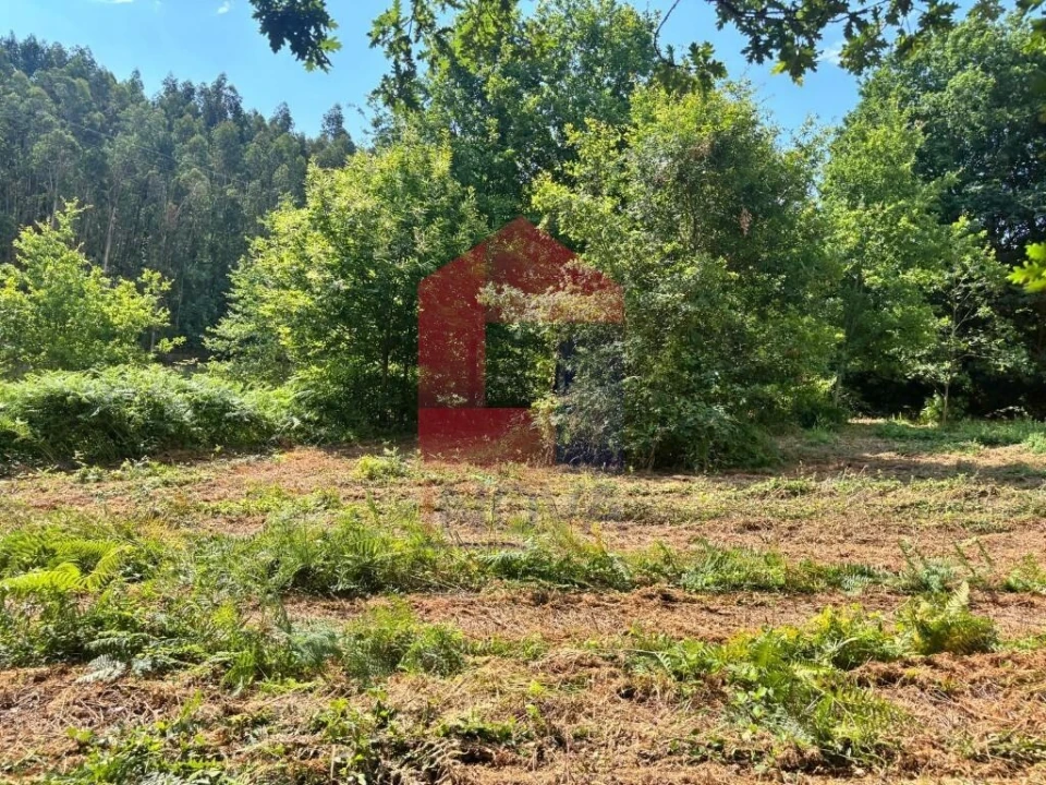 Terreno para Venda em Parada de Gatim Foto 29