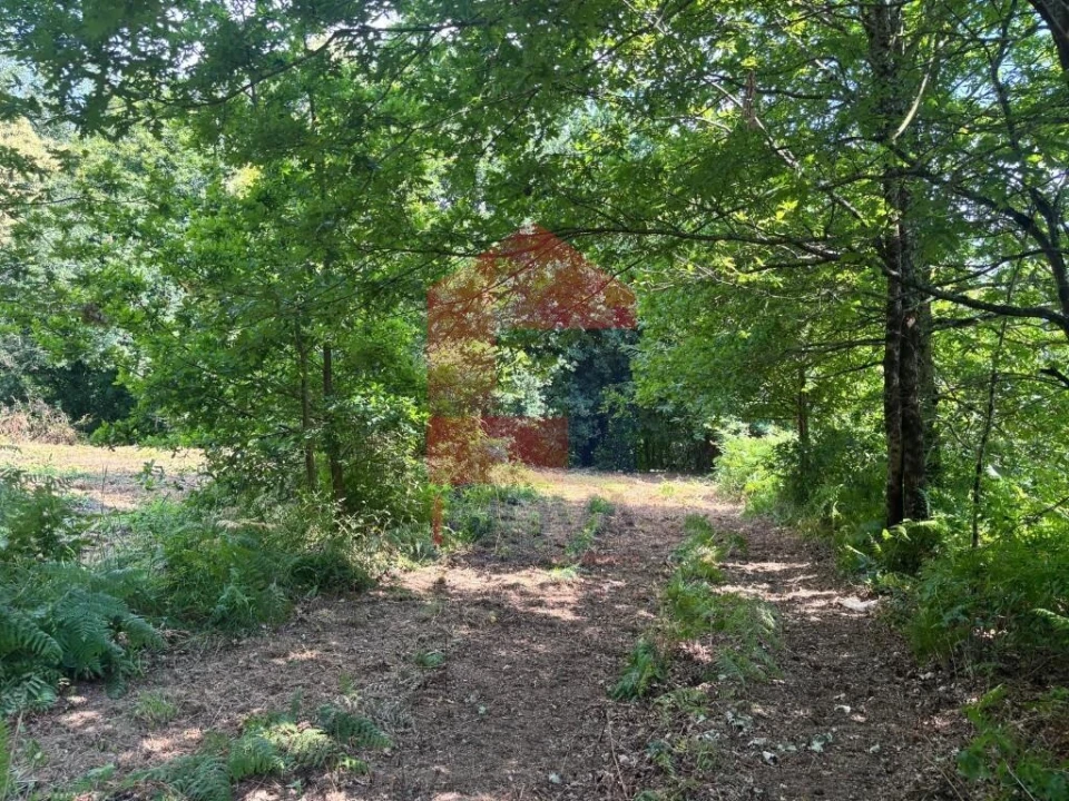 Terreno para Venda em Parada de Gatim Foto 34