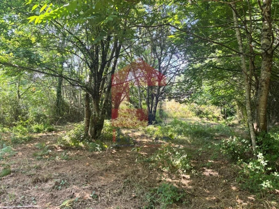 Terreno para Venda em Parada de Gatim Foto 21