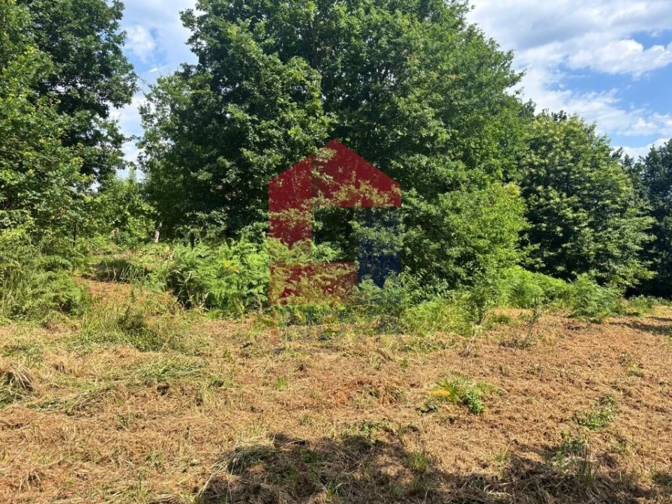 Terreno para Venda em Parada de Gatim Foto 24