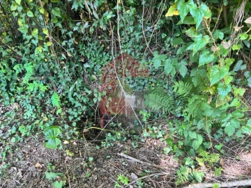 Terreno para Venda em Parada de Gatim