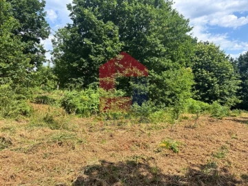 Terreno para Venda em Parada de Gatim