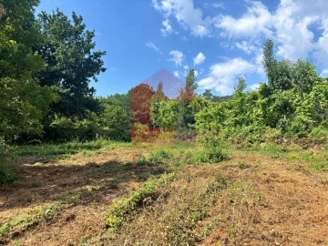 Terreno para Venda em Parada de Gatim