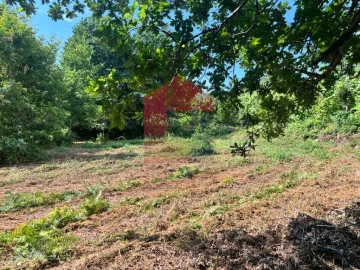 Terreno para Venda em Parada de Gatim