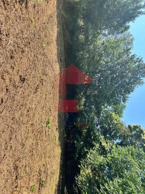 Terreno para Venda em Parada de Gatim