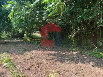 Terreno para Venda em Parada de Gatim