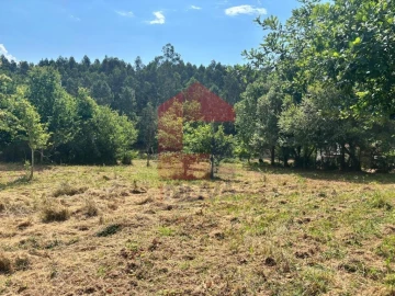 Terreno para Venda em Parada de Gatim