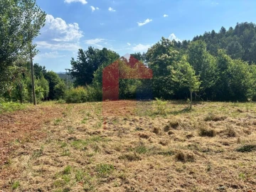 Terreno para Venda em Parada de Gatim