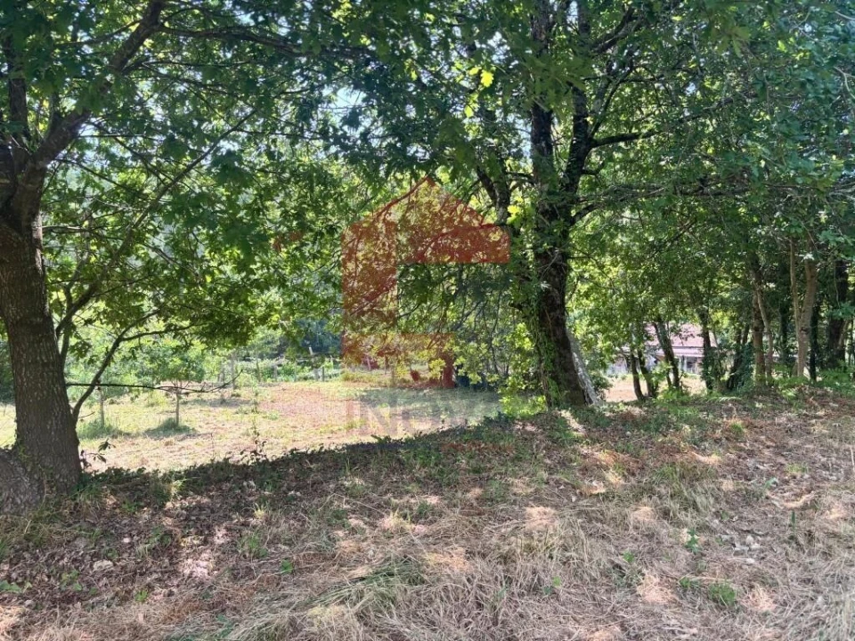 Terreno para Venda em Parada de Gatim Foto 35