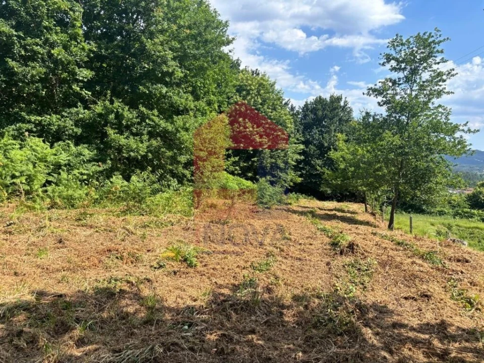 Terreno para Venda em Parada de Gatim Foto 23