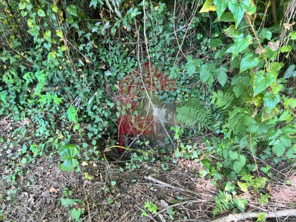 Terreno para Venda em Parada de Gatim Foto 9