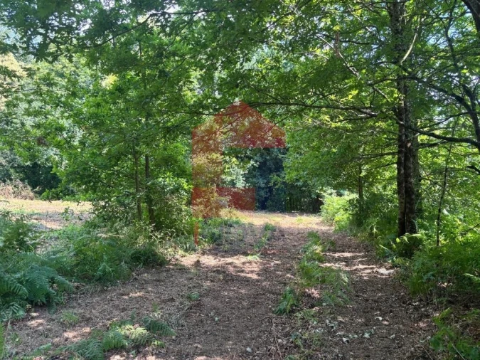 Terreno para Venda em Parada de Gatim Foto 34