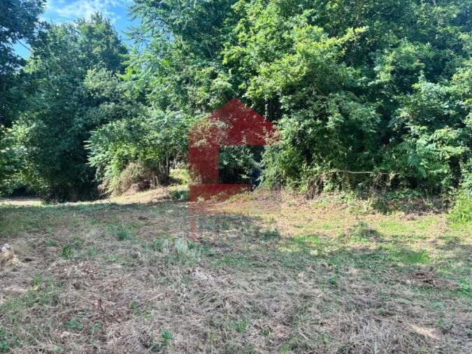 Terreno para Venda em Parada de Gatim Foto 5