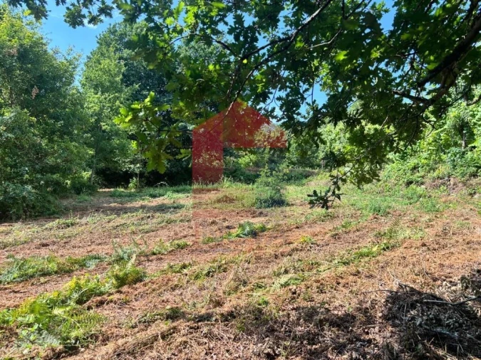 Terreno para Venda em Parada de Gatim Foto 28