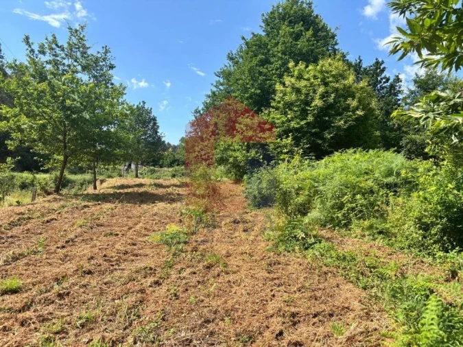 Terreno para Venda em Parada de Gatim Foto 25