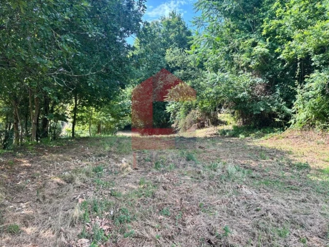 Terreno para Venda em Parada de Gatim Foto 16