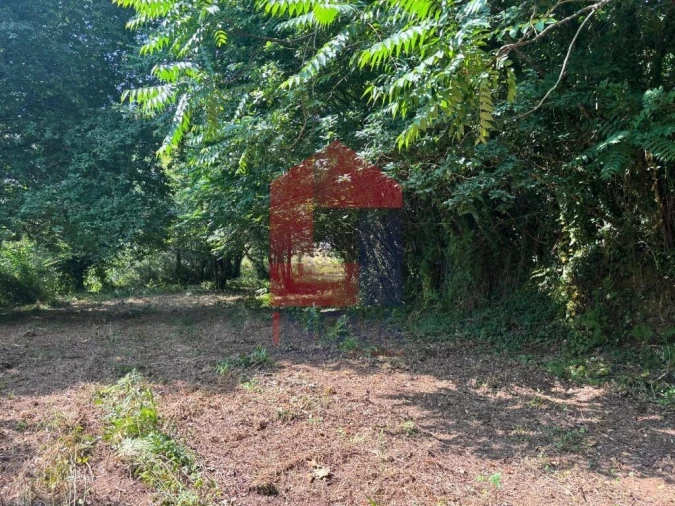 Terreno para Venda em Parada de Gatim Foto 3