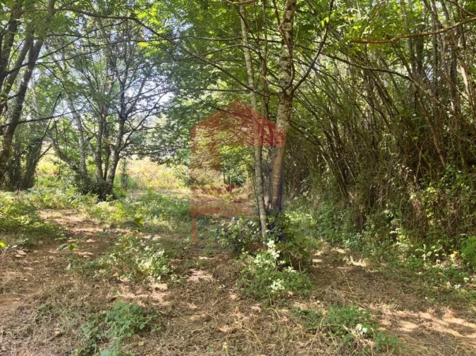 Terreno para Venda em Parada de Gatim Foto 17