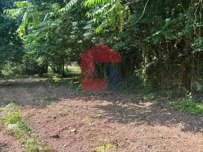 Terreno para Venda em Parada de Gatim Foto 18