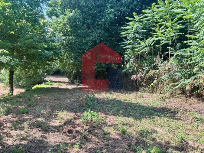 Terreno para Venda em Parada de Gatim Foto 4