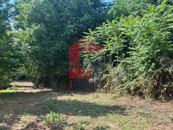 Terreno para Venda em Parada de Gatim Foto 19
