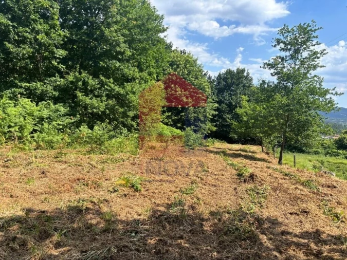 Terreno para Venda em Parada de Gatim Foto 23
