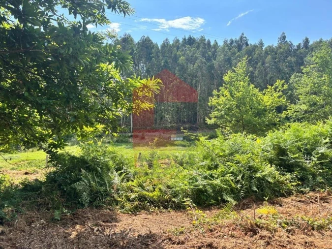 Terreno para Venda em Parada de Gatim Foto 27