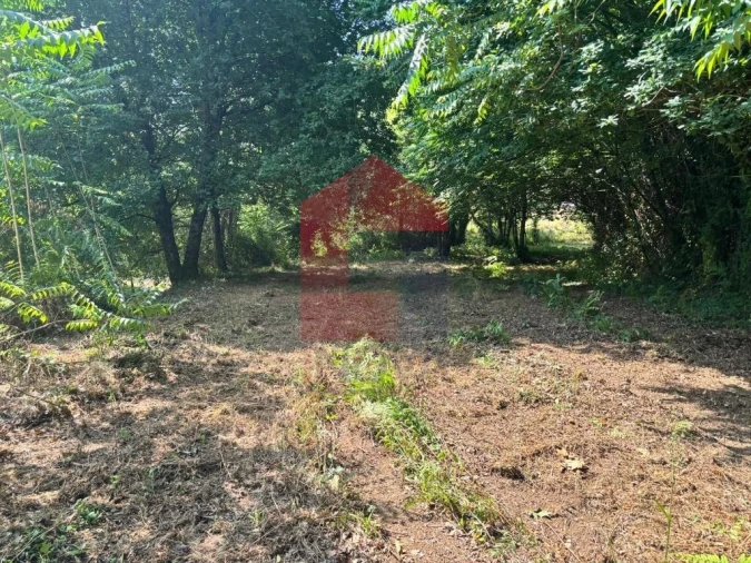 Terreno para Venda em Parada de Gatim Foto 2