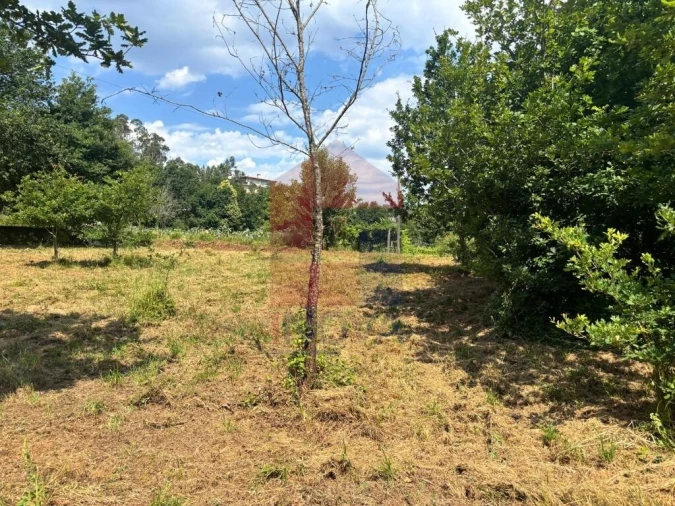 Terreno para Venda em Parada de Gatim Foto 31