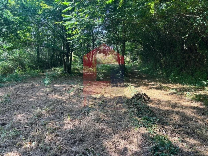 Terreno para Venda em Parada de Gatim Foto 15